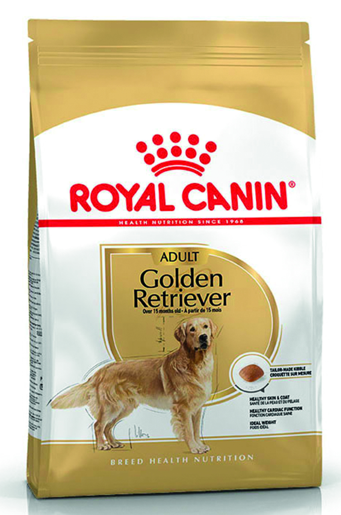 BHN Golden Retriever Adult