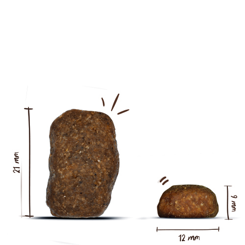 Bosch - Maxi Junior - 1 x 15 kg - 5