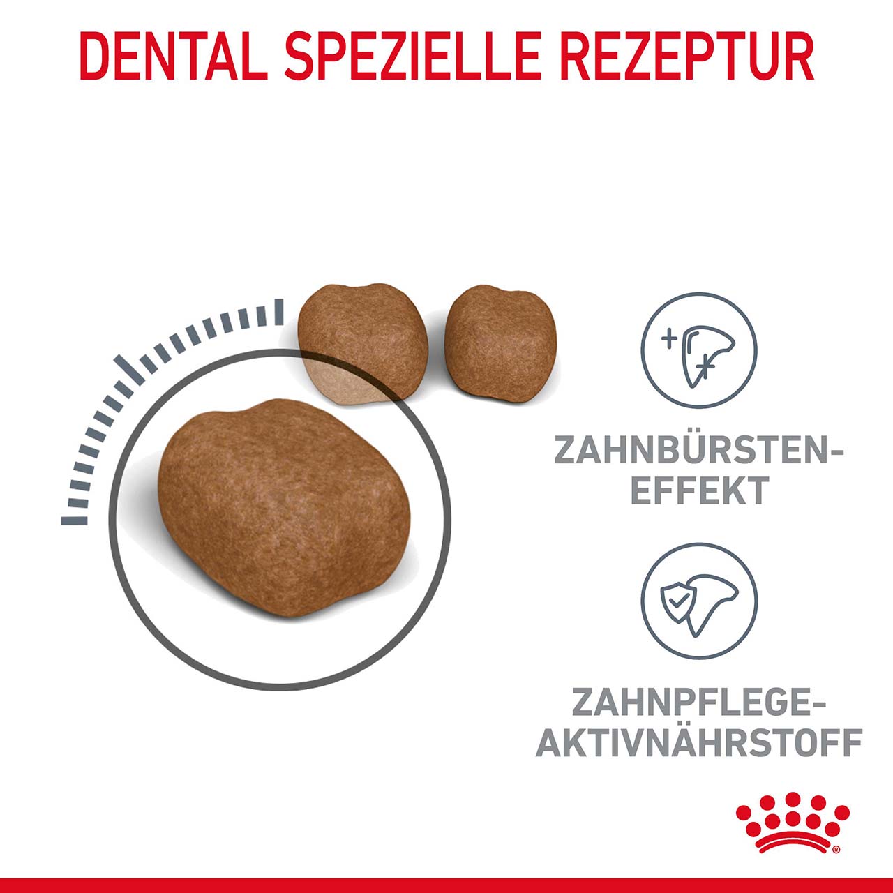 Royal Canin - FCN Dental  Care - 1 x 1,5kg - 6