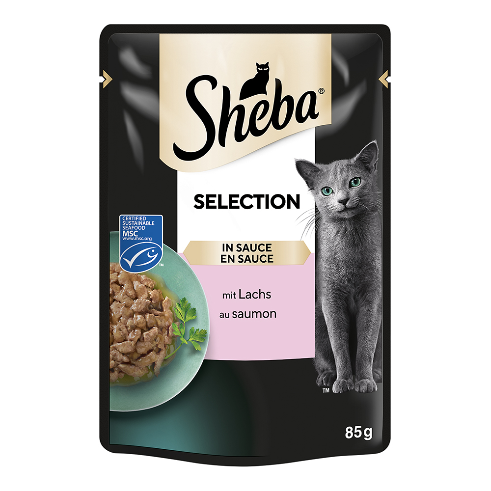 Selection in Sauce mit Lachs