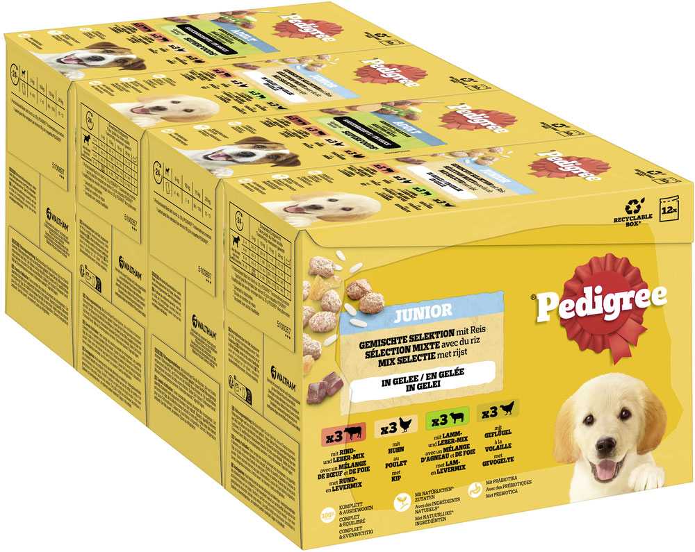Pedigree - MP Junior in Gelee - 4 x 12X100g - 2