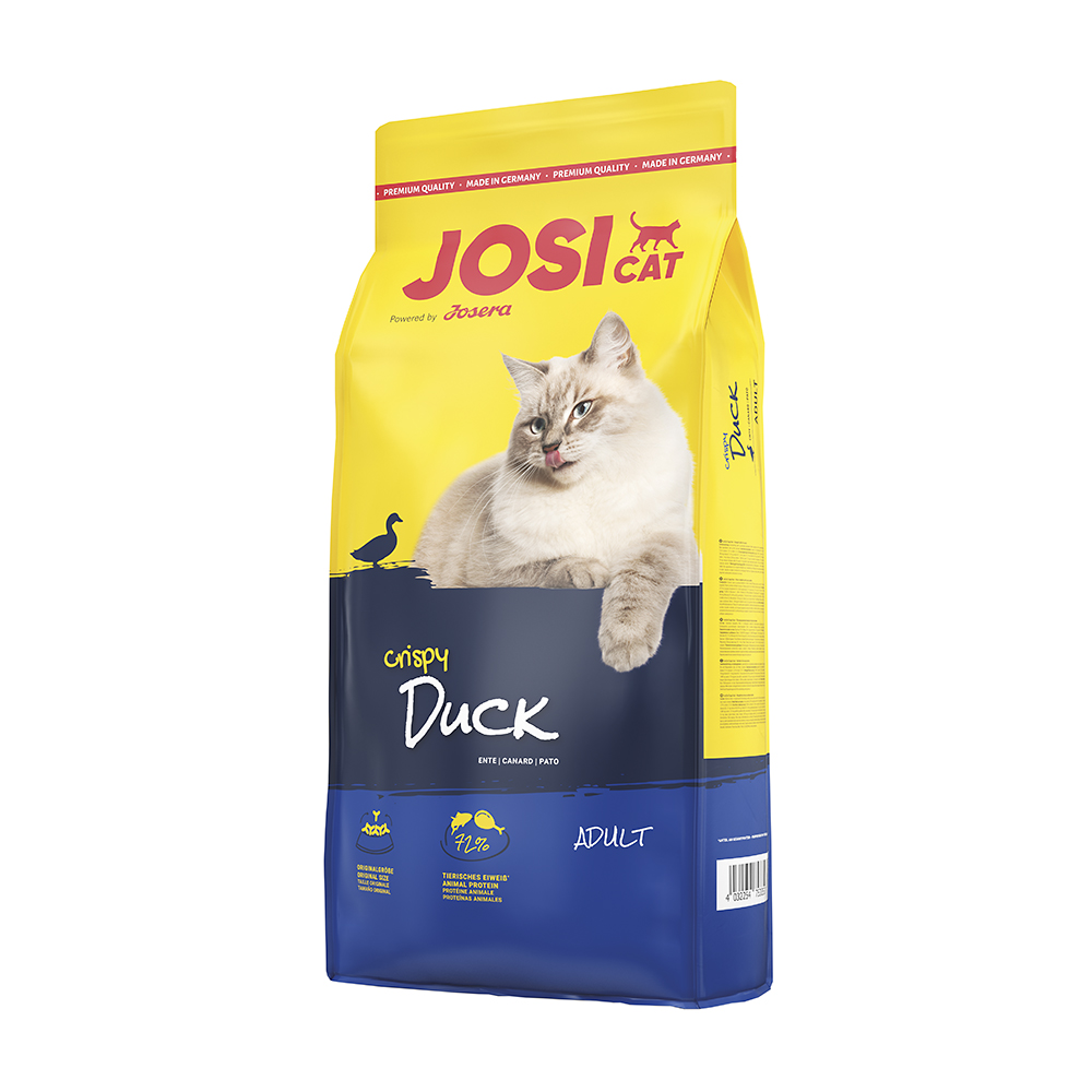 Crispy Duck