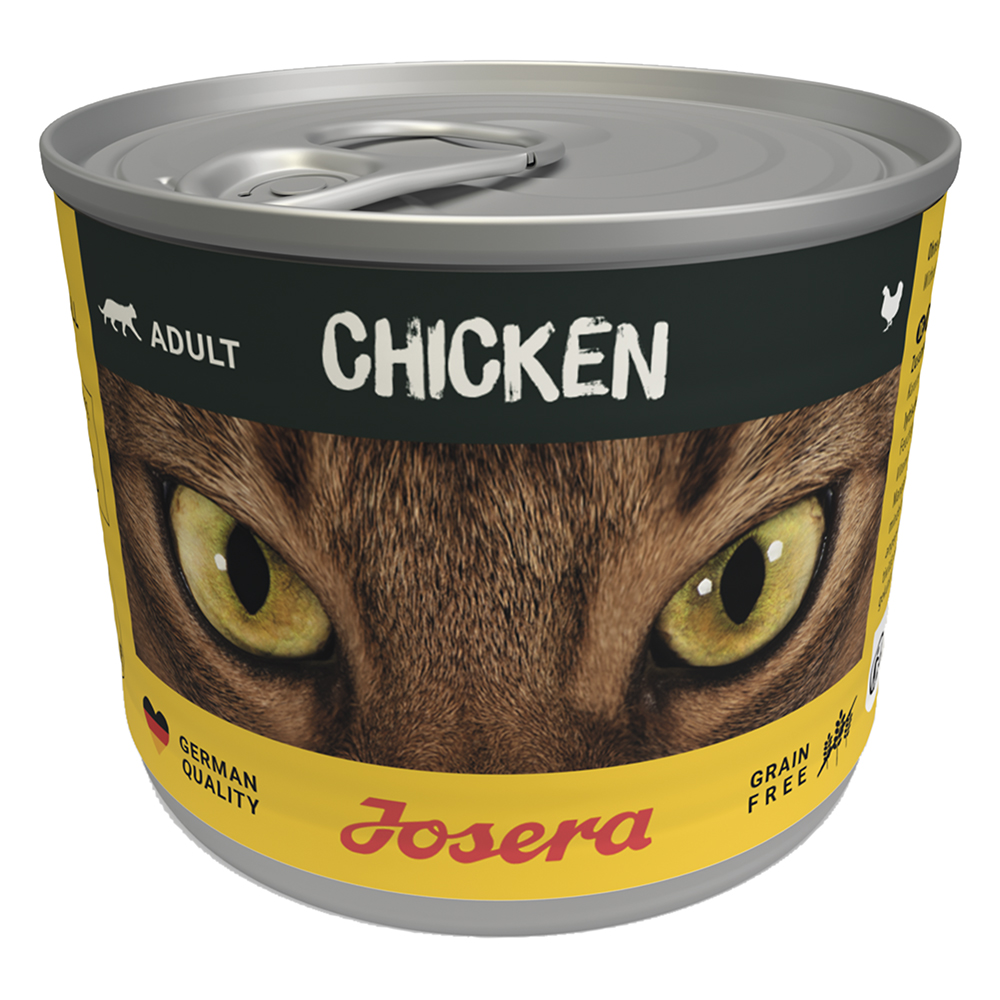 Cat Chicken