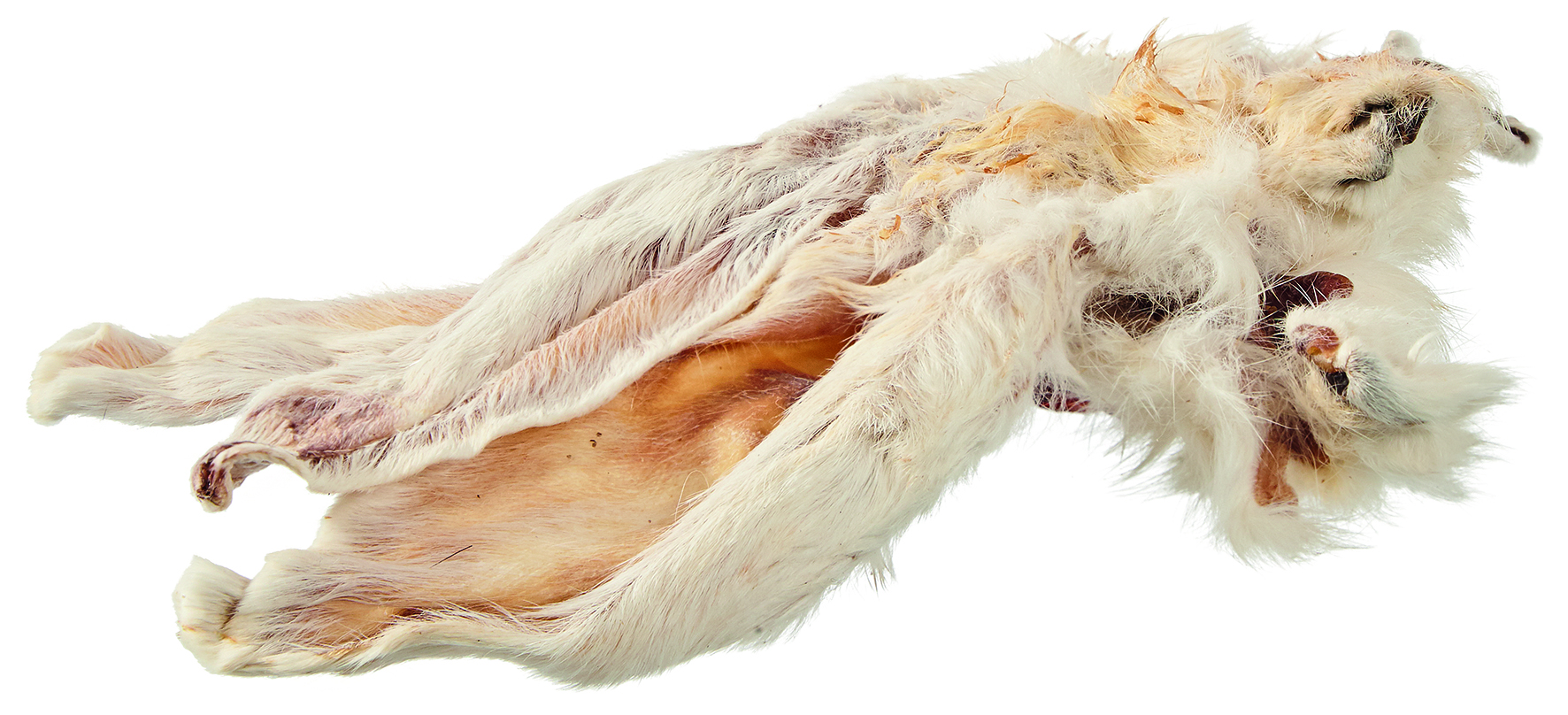 Primox - Kaninchenohren mit Fell 100g - 1 x 0.1 kg - 2