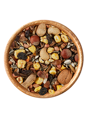 Eichhörnchen-Mix 600g