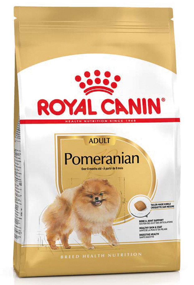 BHN Pomeranian