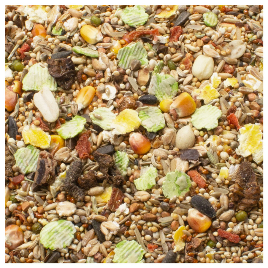 JR Farm - Rennmäuse-Schmaus - 6 x 600 g - 2