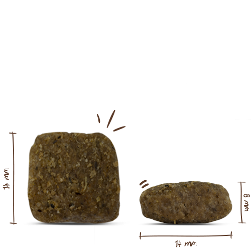 Bosch - Adult Geflügel & Hirse - 5 x 1 kg - 13