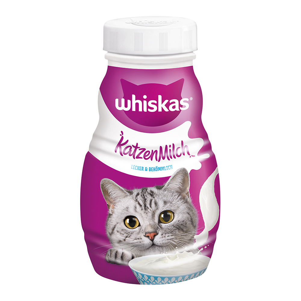 Katzen Milch