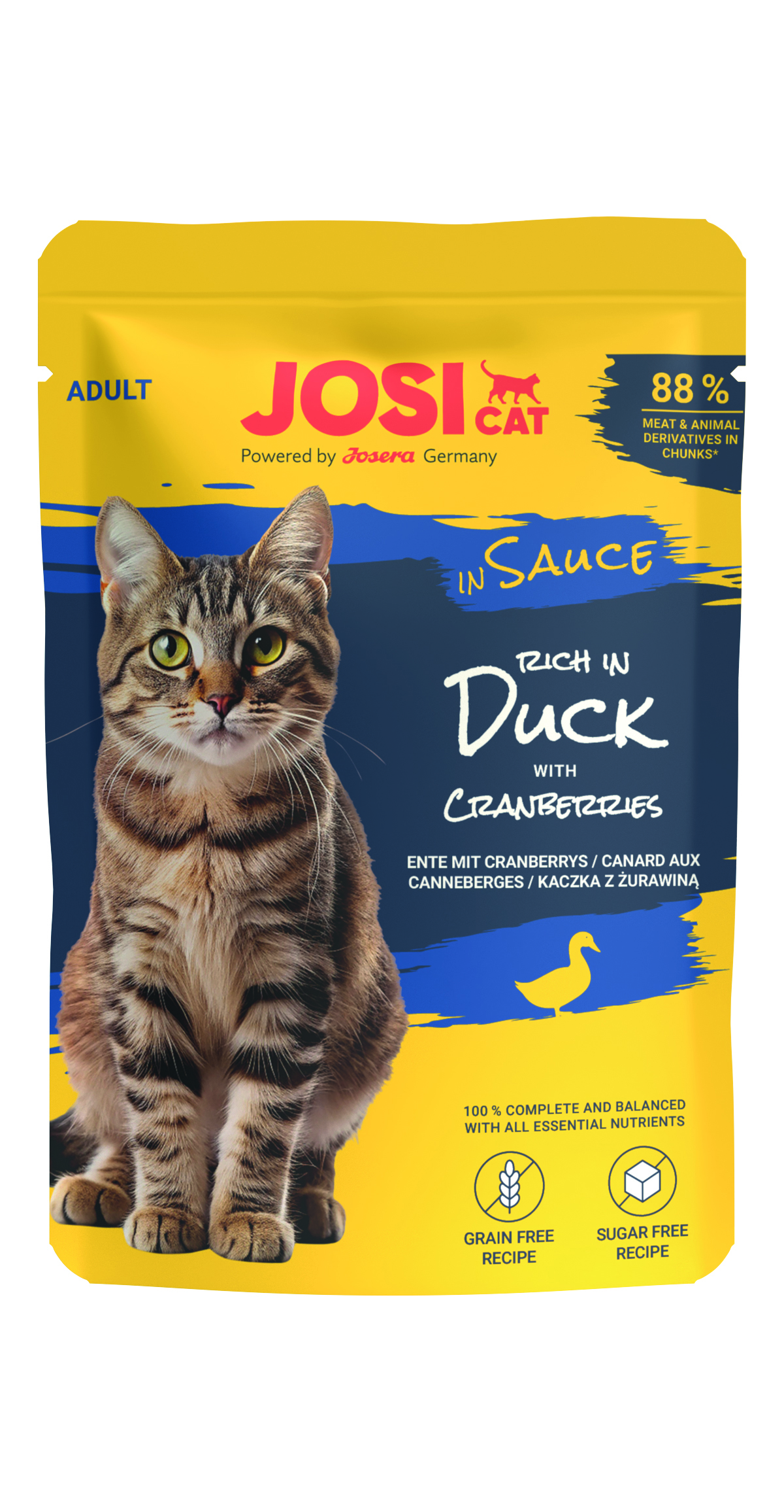 rich in Duck in Sauce