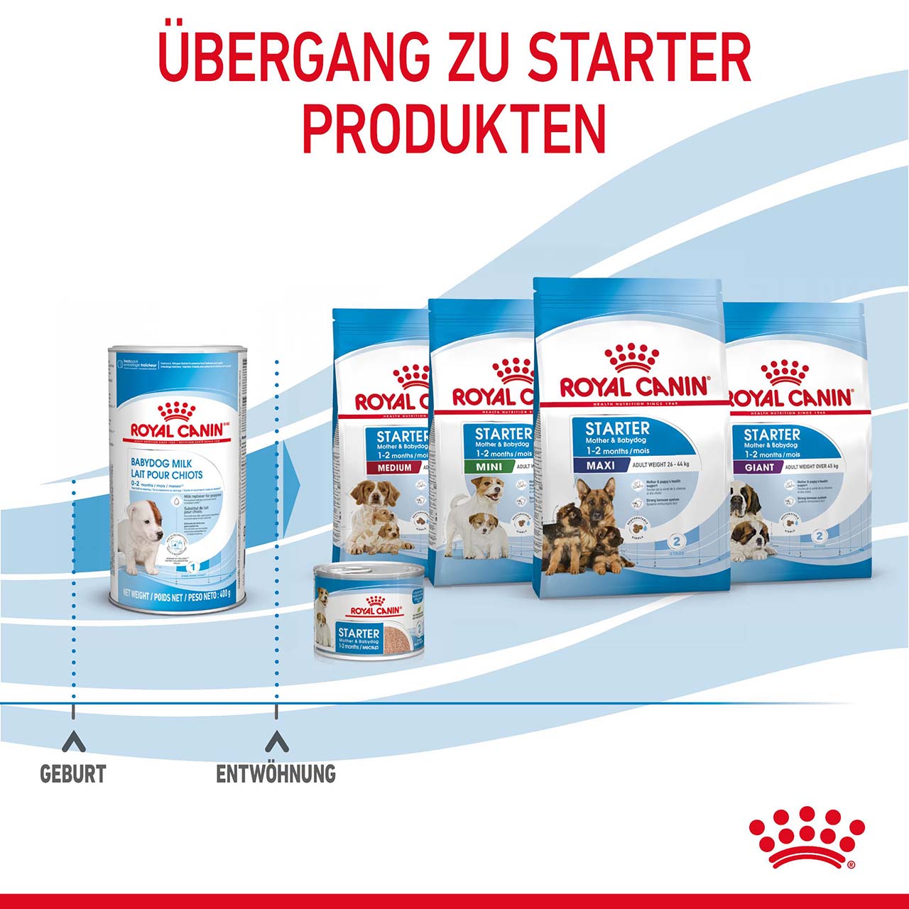 Royal Canin - Babydog Milk - 7