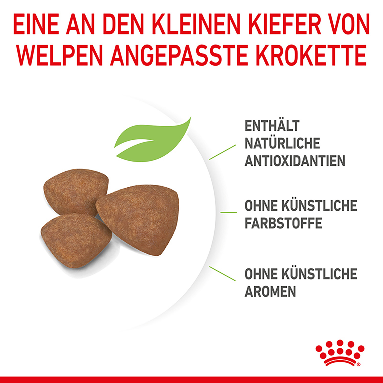 Royal Canin - SHN Mini Puppy - 7
