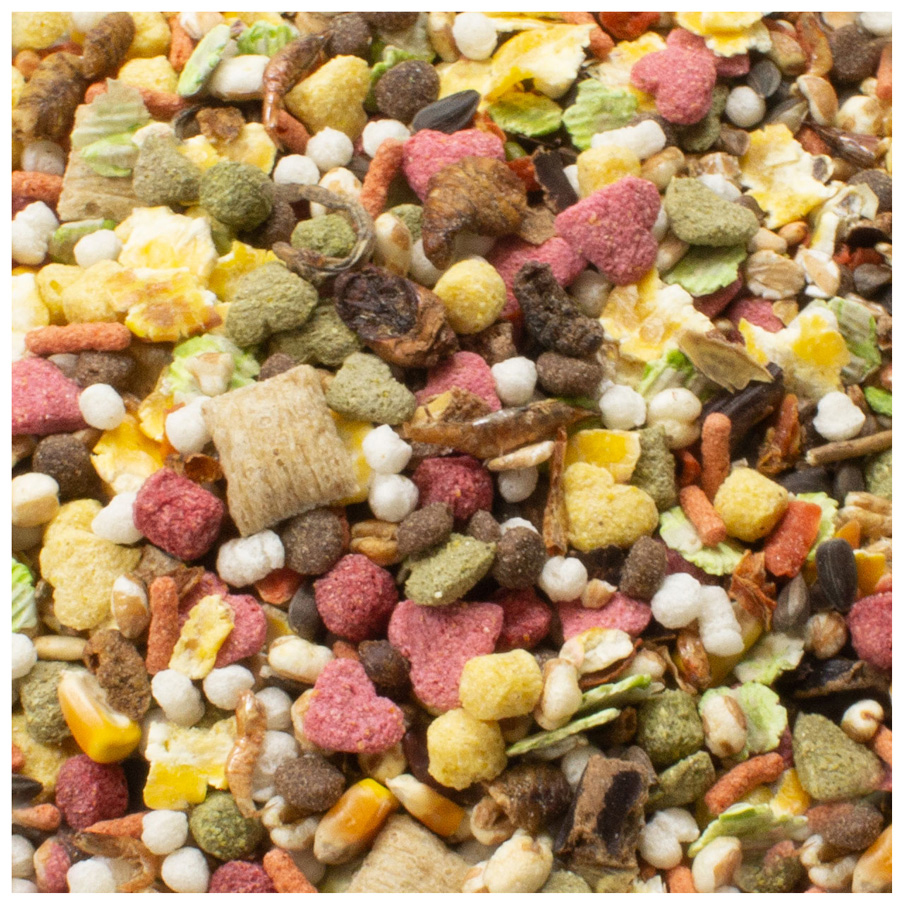 JR Farm - Ratten-Schmaus - 6 x 600 g - 2