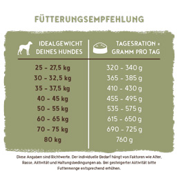 Bosch - Maxi Senior Geflügel & Reis - 5 x 1 kg - 7