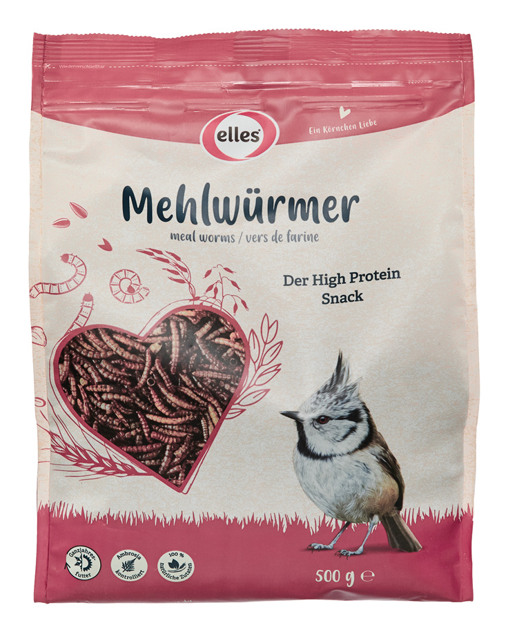 Mehlwürmer 500g
