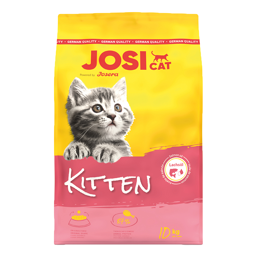 Kitten