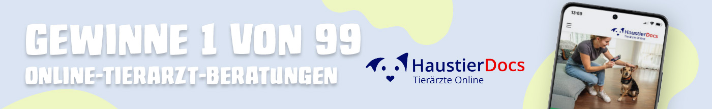 Katzenfutter