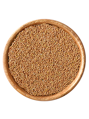 elles - Gelbe Hirse - 1 x 25 kg - 1