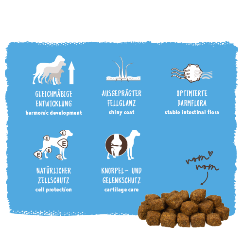 Bosch - Medium Junior - 5 x 1 kg - 3
