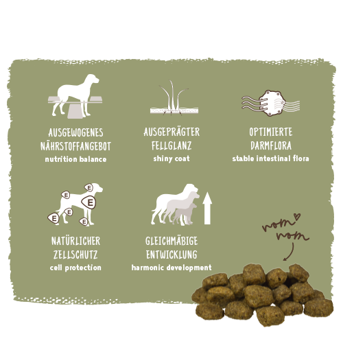 Bosch - Adult Geflügel & Hirse - 1 x 15 kg - 10