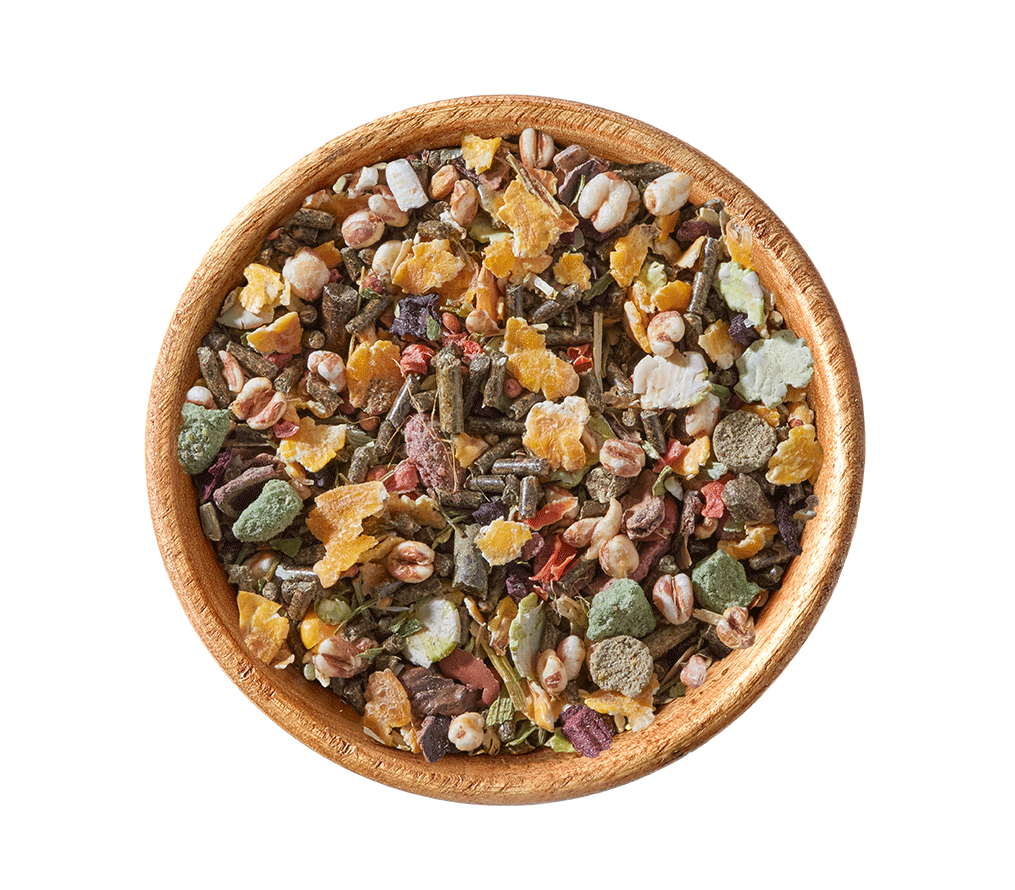 elles-Meerschweinchenfutter-in-Schale elles-Meerschweinchenfutter-in-Schale