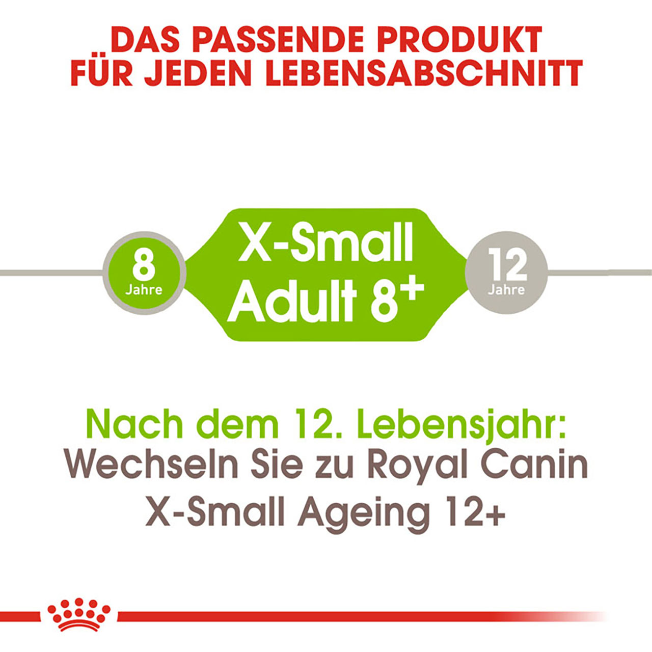 Royal Canin - SHN X-Small Adult 8+ - 1 x 3kg - 2