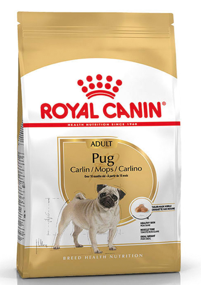 BHN Pug Adult