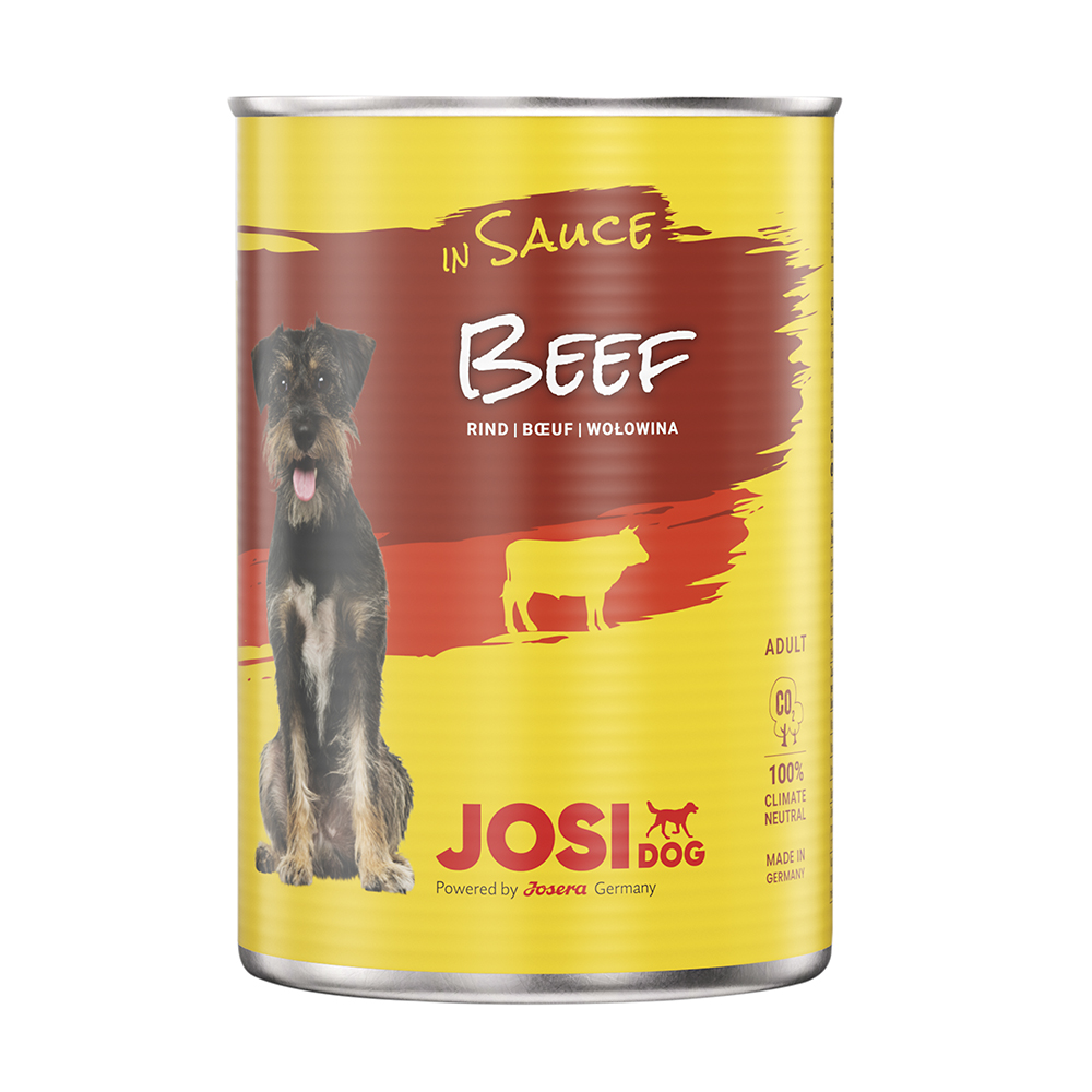Beef in Sauce