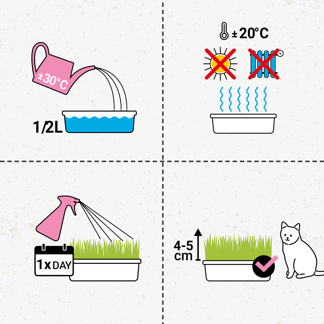 GimCat - Katzengras - 1 x 150 g - 2