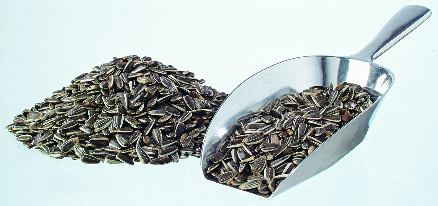 Sonnenblumenkerne gestreift 25kg