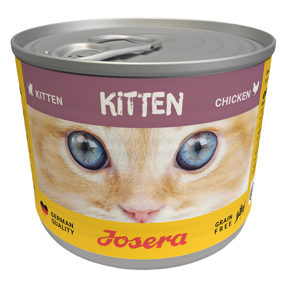 Kitten Chicken