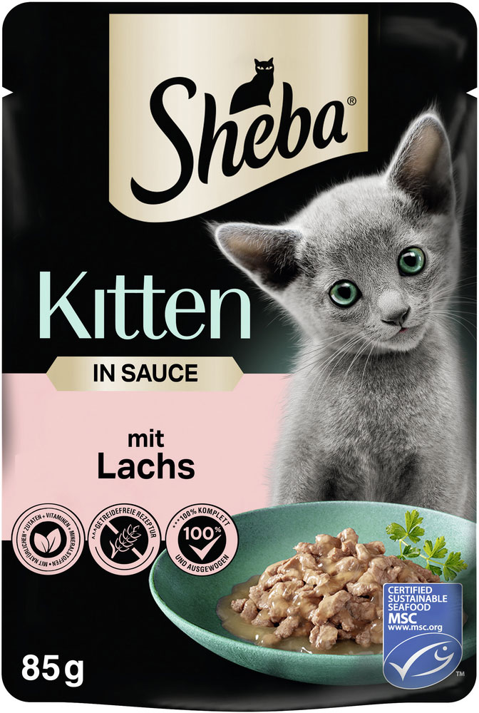 Sheba - Kitten mit Lachs in Sauce - 2