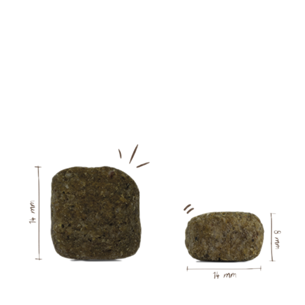 Bosch - Medium Junior - 1 x 1 kg - 1