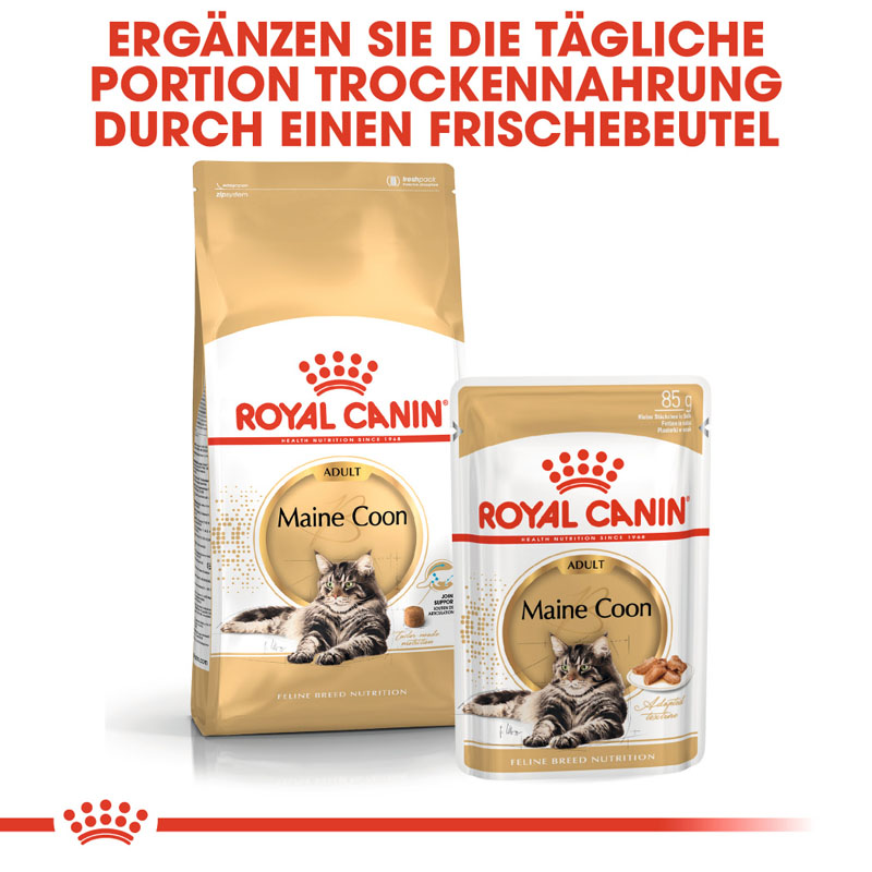Royal Canin - FBN Maine Coon Adult - 1 x 2kg - 5