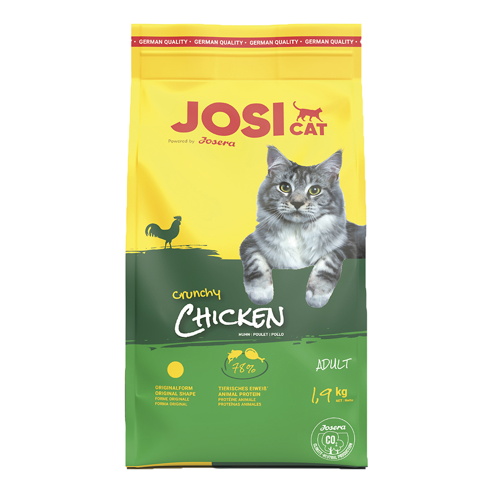 Crunchy Chicken
