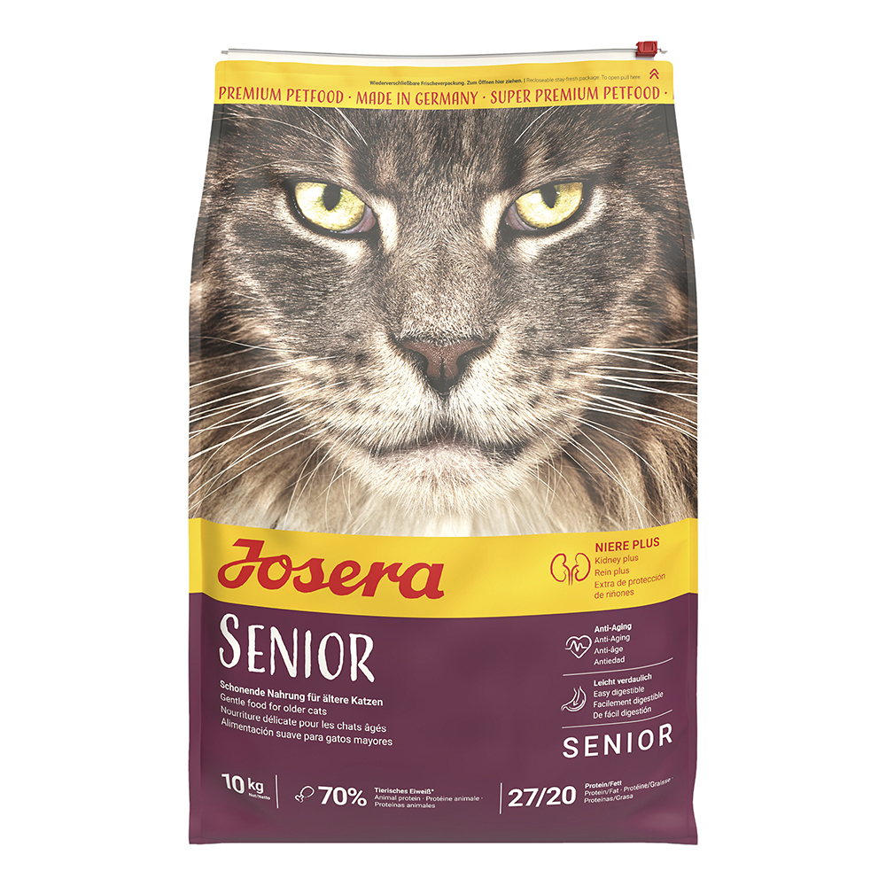 Katze Senior