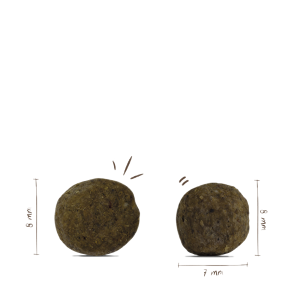 Mini Adult Geflügel & Hirse