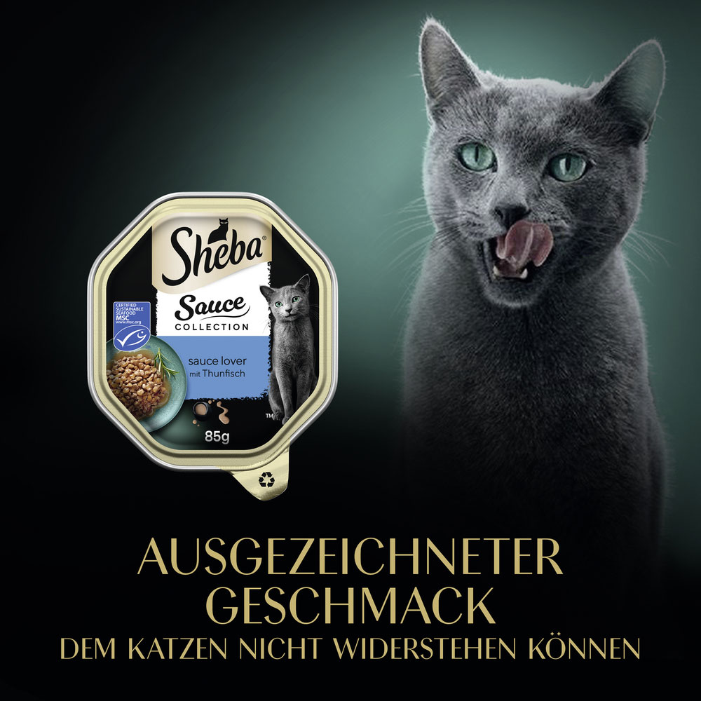 Sheba - Sauce Collection Lover mit Thunfisch - 22 x 85g - 8