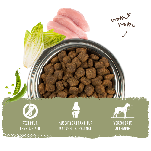 Bosch - Maxi Senior Geflügel & Reis - 1 x 12,5kg - 6