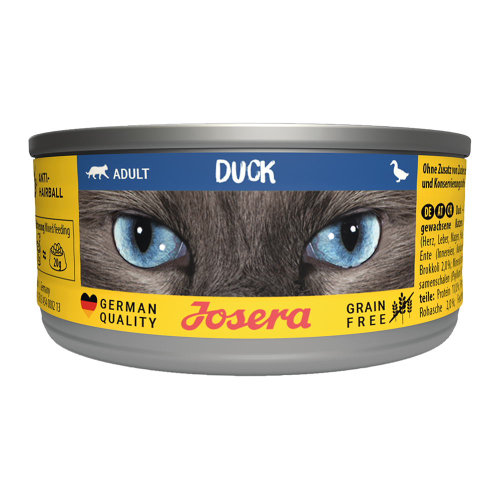 Cat Duck