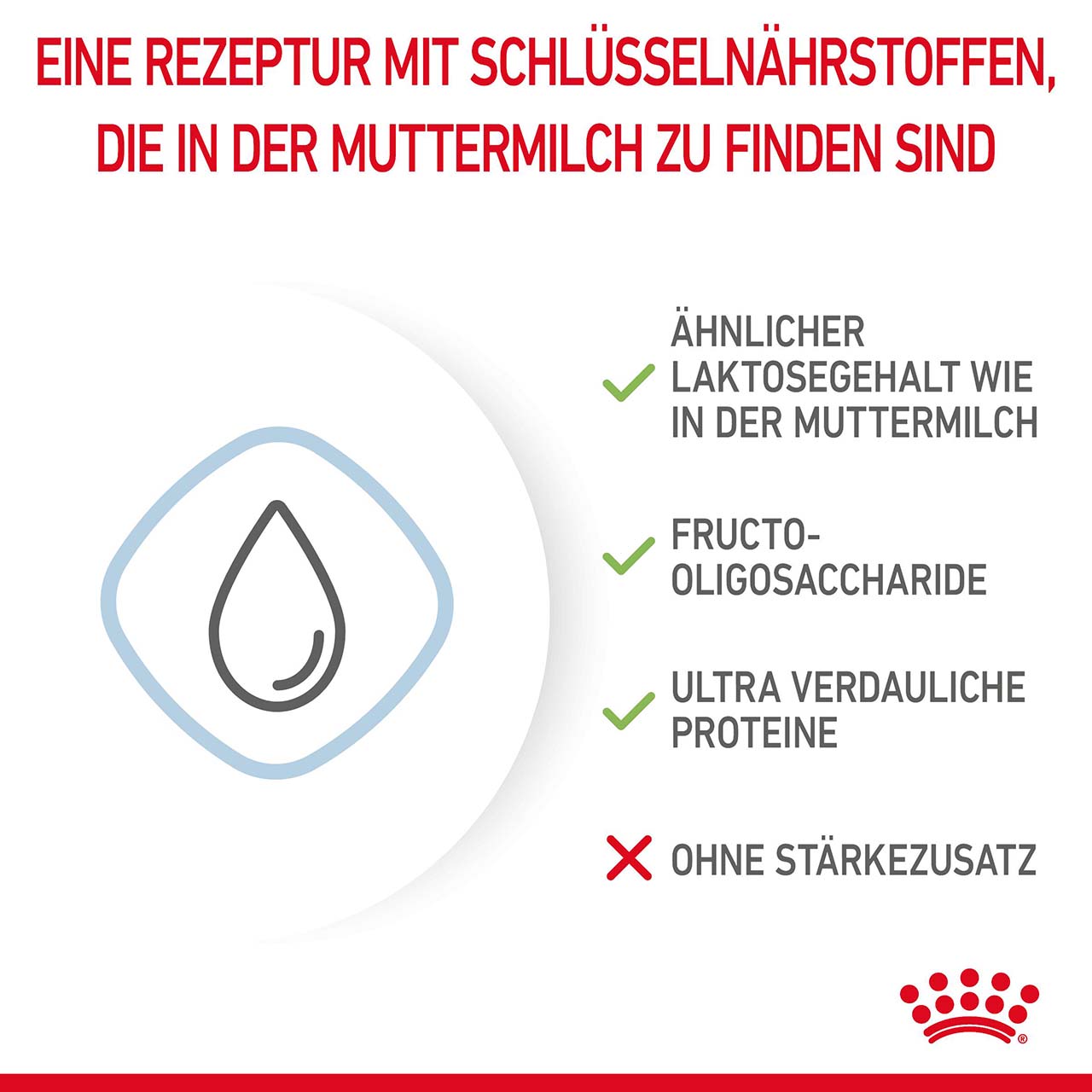 Royal Canin - Babydog Milk - 4