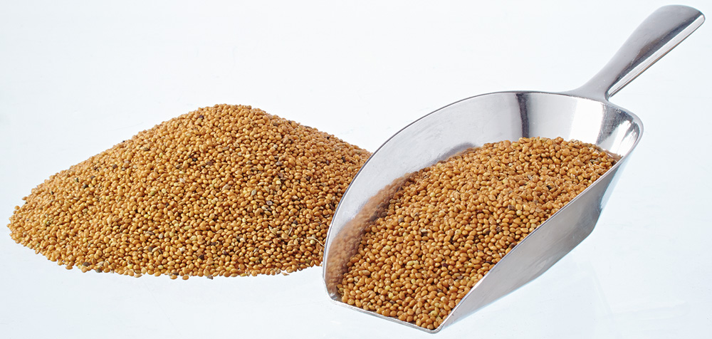 elles - Gelbe Hirse 25 kg - 1 x 25kg - 1