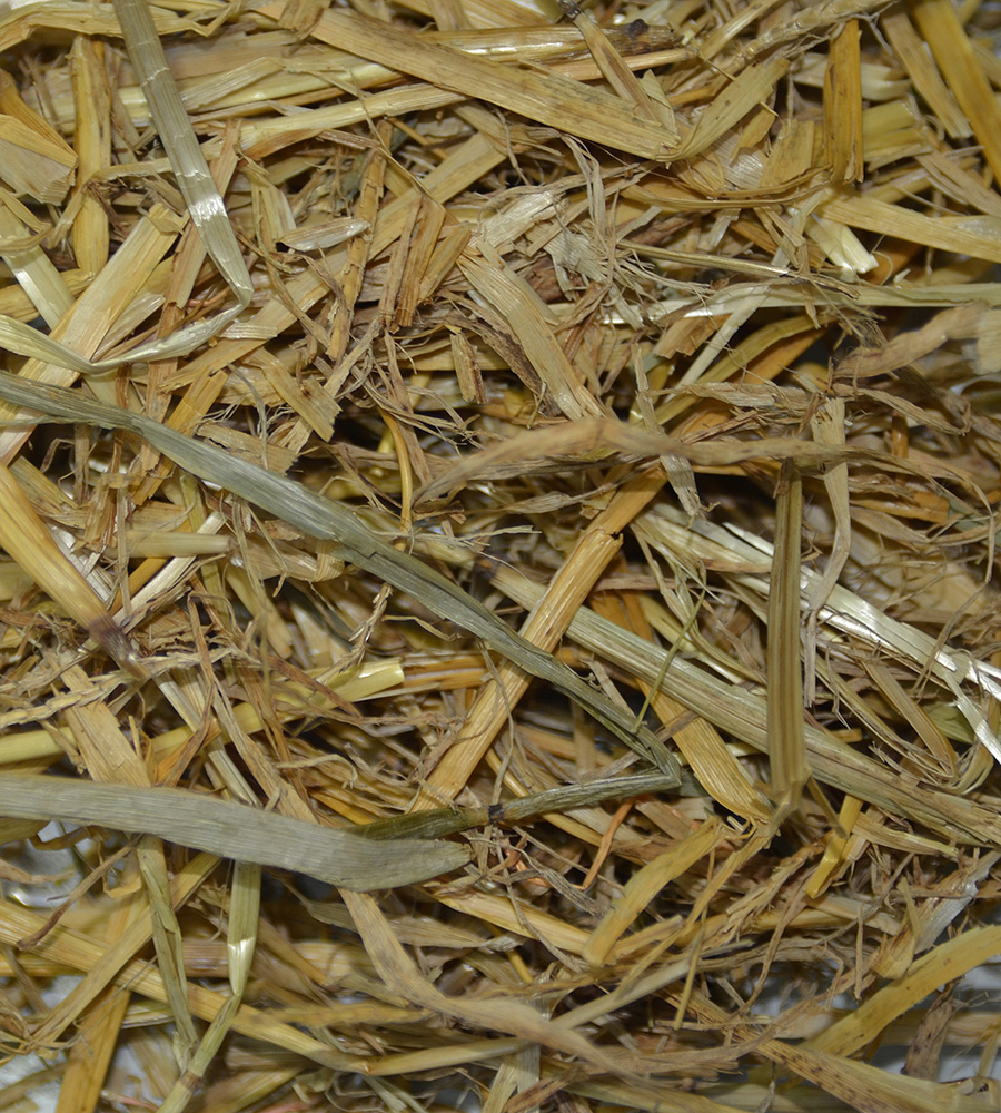 Chipsi - Farmland Stroheinstreu - 1 x 800g - 2