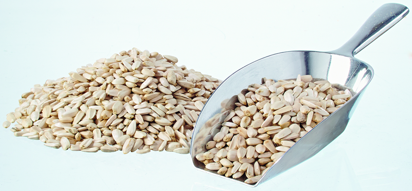 Sonnenblumenkerne weiß 25kg