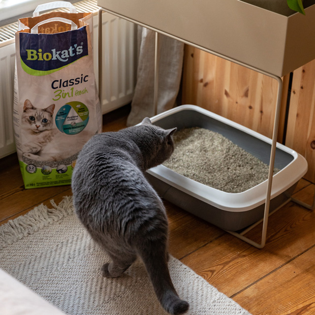 Biokats - Classic Fresh Papier - 4