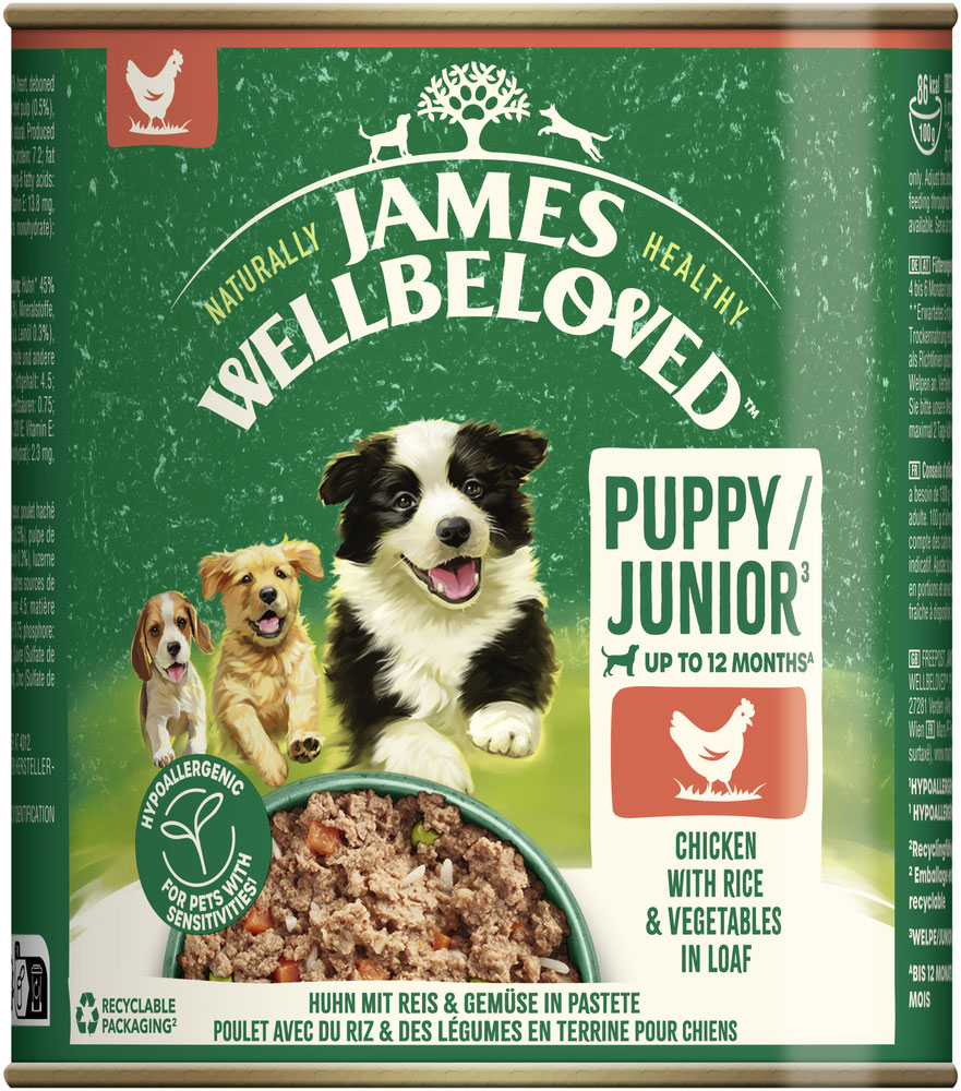 James Wellbeloved - Junior Huhn mit Reis & Gemüse in Pastete - 6 x 800g - 2