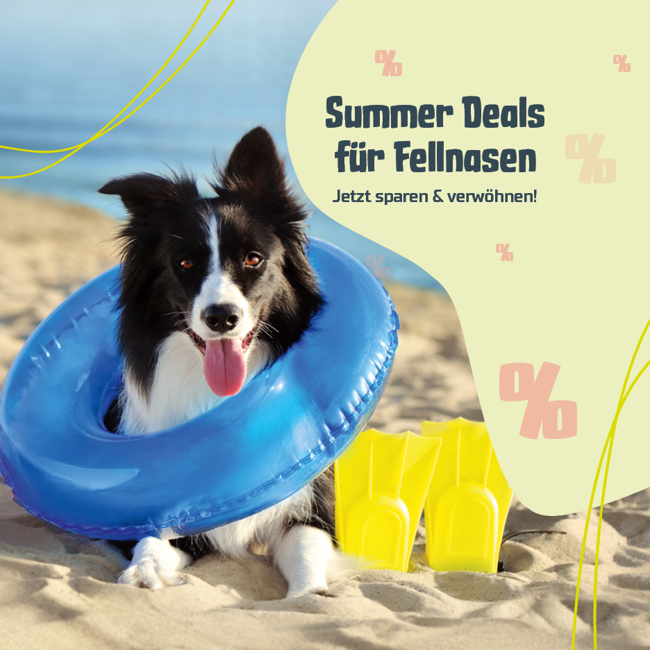 Summer Deals