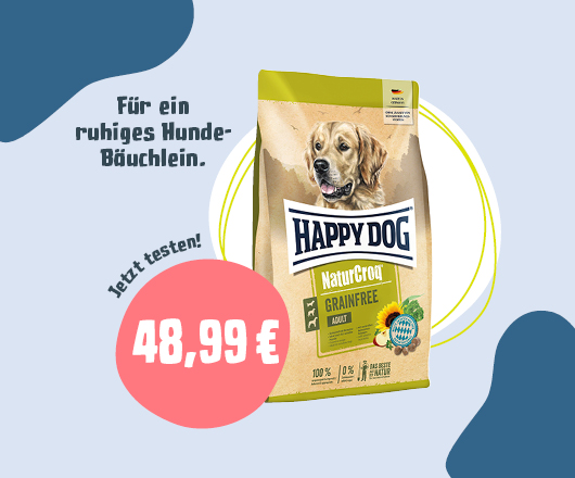 Für ein ruhiges Hunde-Bäuchlein