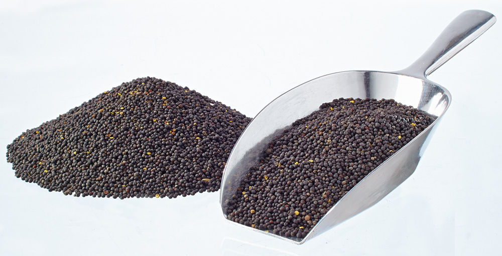Raps 25kg
