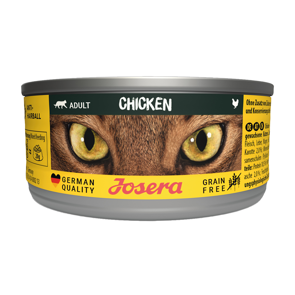 Cat Chicken